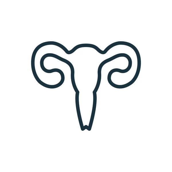 Kvinnliga Uterus-ikonen. Kvinnans reproduktiva system eller orgellinjära piktogram. Uterus, Ovary, Cervix, Fallopian Tube konturikon. Kvinnlig Womb. Redigerbar Stroke. Isolerad vektorillustration — Stock vektor
