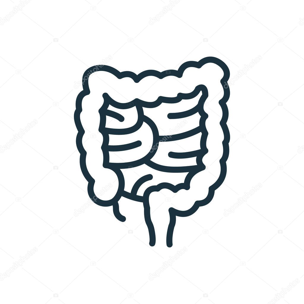 Colon Line Icon. Large Intestine Linear Pictogram. Internal Digestive Human Organ Outline Icon. Bowel Concept. Editable Stroke. Isolated Vector Illustration