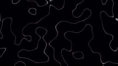 Alfa kanallı soyut hareketli topografik harita çizgileri. Yumuşak dalga ve kıvrımlı fraktal çizgileri olan topografik hat haritası. Kusursuz döngü 4K.