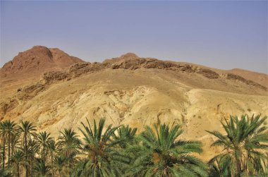 Mavi gökyüzüne karşı Atlas Dağları. Hurma ağaçları ön planda. Tunus. Sahara. Oasis Shebika.