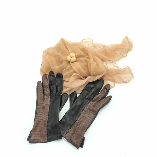 Accessoires Automne Une Paire Gants Marron Pour Dames Cuir Véritable — Photo