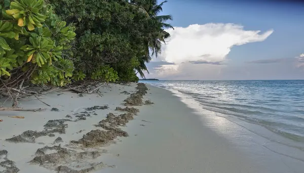 Praia Tranquila Nas Maldivas Oceano Azul Turquesa Está Calmo Árvores — Fotografia de Stock