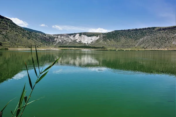 The emerald volcanic lake Nar is surrounded by mountains. Light clouds in the sky. In the foreground is a reed stalk. Reflection in calm water. Turkey. Cappadocia