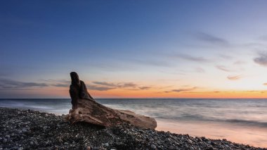 Resimli eski bir kütük deniz kıyısındaki bir çakıl taşının üzerinde yatıyor. Günbatımı gökyüzü mavi, turuncu ve mordur. Sudaki yansımalar.