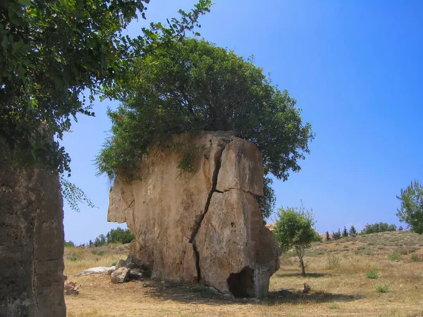 Ogromny Starożytny Kamień Stoi Równinie Czystym Niebem Szczycie Rośnie Zielony — Zdjęcie stockowe