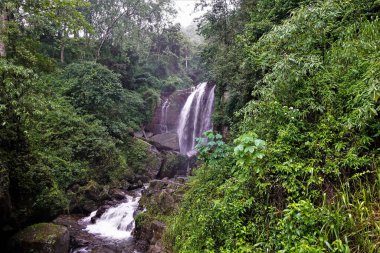 Şelalenin akıntıları uçurumdan taşar. Çevresi parlak, yemyeşil tropikal bitki örtüsüdür. Sri Lanka.