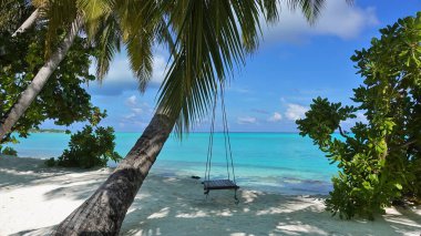 Güneşli bir gün. Plajın kumları üzerinde eğilmiş bir palmiye ağacı. Gölgesinde, gövdesinde, ahşap bir salıncak var. Sakin akuamarin okyanusu. Gökte bulutlar var. Maldivler.