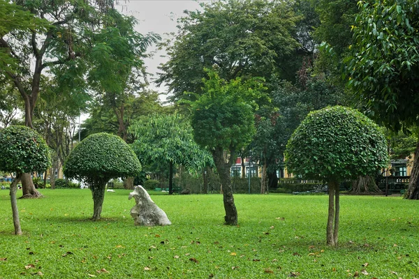 Σχέδιο Πάρκου Στο Γκαζόν Ανάμεσα Στο Πράσινο Γρασίδι Υπάρχουν Δέντρα — Φωτογραφία Αρχείου