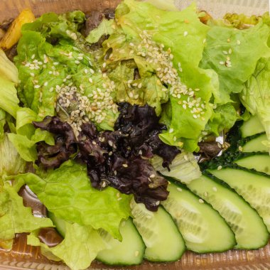 Taze sebze salatası. Yeşil ve bordo marul yaprakları, doğranmış salatalık, susam tohumları. Üst görünüm