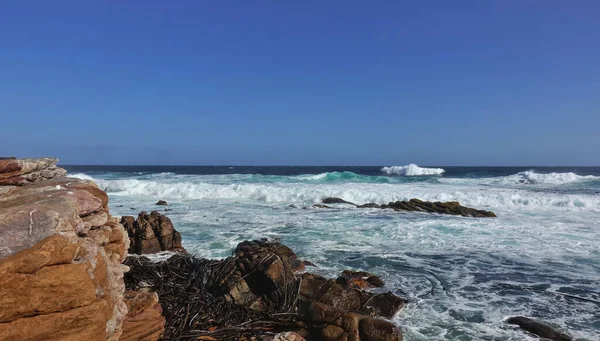 Seascape Cape Good Hope Foreground Ancient Rocks Algae Them Thick — Stock Photo, Image