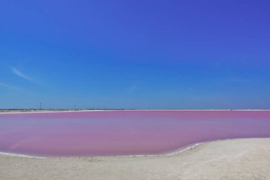 Açık mavi gökyüzünün altında inanılmaz pembe tuz gölü. Suyun ayna gibi pürüzsüz yüzeyinde yansıma. Kıyıda beyaz kum. Kıyı şeridinin kenarında tuz kristali kalıntıları var. Meksika mı? Rio lagartos