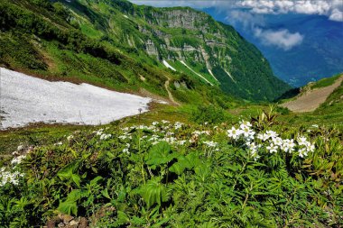 Kafkas sırtının yamaçları yeşil bitki örtüsüyle kaplıdır. Vadide dağlık çayırlardan, erimiş karlardan oluşan beyaz çiçekler var. Dağların zirveleri bulutların arasında gizlidir..