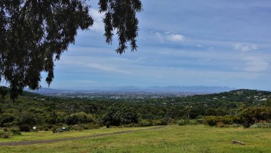 Bir ağacın esnek dalları mavi gökyüzüne karşı yeşil bir çimenliğin üzerinde asılı duruyor. Uzakta tropikal çalılıkları, şehir binalarını, dağların siluetlerini görebilirsiniz. Şehir parkındaki manzara. Cape Town.