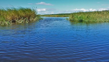 Mavi nehir çimenli kıyılar arasında huzur içinde akar. Gök kubbede resim gibi bulutlar var. Botswana 'da. Chobe.