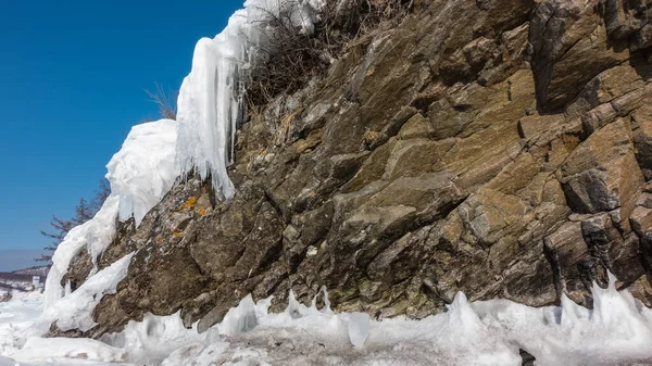 Kırık Granit Kayalarda Meyan Kökü Kuru Yetişir Yokuşta Kar Buz — Stok fotoğraf