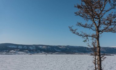 Donmuş gölün yüzeyi karla kaplıdır. Berrak mavi gökyüzüne karşı sıradağlar. Ön planda çıplak bir ağaç var. Baykal 'da kış günü