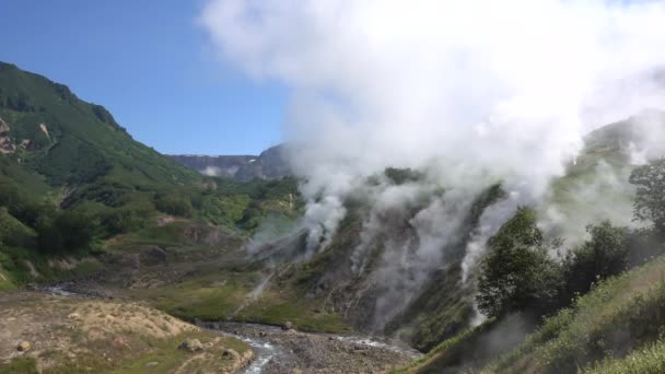 间歇泉谷堪察加半岛蒸汽从山坡上的几个温泉中升起 蓝天下的雾气 在山谷中 一条河沿着岩石的河床流过 阳光灿烂的夏日 — 图库视频影像