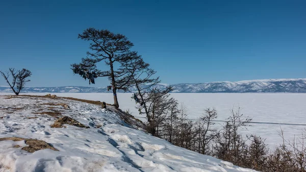 Árvores Nuas Margem Lago Congelado Neve Gelo Chão Uma Cordilheira — Fotografia de Stock