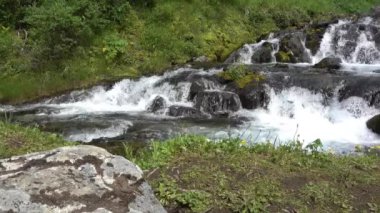 Hızlı bir dağ nehri kayalık bir yatak boyunca akar. Su sıçraması, köpük. Taşlarda yosun yetişiyor. Sahilde yeşil çimenler ve kır çiçekleri var. Ön planda gri benekli bir kaya var. Kamçatka.
