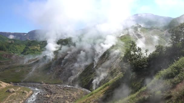 Μια Μοναδική Κοιλάδα Των Geysers Καμτσάτκα Ατμός Από Θερμές Πηγές — Αρχείο Βίντεο