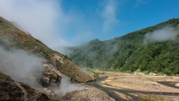 Unique Valley Of Geysers, Kamchatka. The river flows along a rocky bed. There is lush green vegetation on the mountain slopes. Steam from hot springs spreads over the ground and flies into the sky.