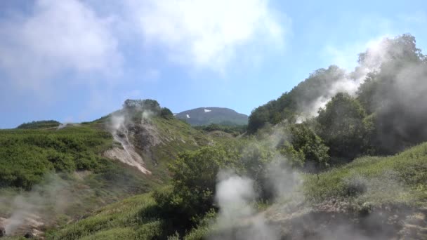 堪察加半岛的间歇泉谷高山上覆盖着绿色的植被 蒸汽从山坡上的温泉上升起 在蓝天上飞舞 — 图库视频影像