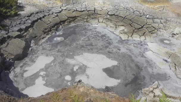 堪察加半岛的间歇泉谷泥锅里塞满了灰沸腾的液体 表面上 气泡膨胀并破裂 干边的粘土裂开了 阳光灿烂的一天 — 图库视频影像