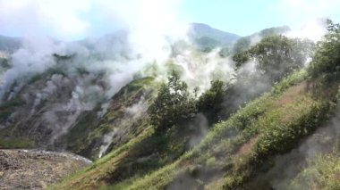 Dağ yamacında yeşil bitki örtüsünün arasında sıcak pınarlar var. Onlardan çıkan buhar birçok sütun halinde mavi gökyüzüne yükselir. Taşların arasından küçük bir nehir akıyor. Kamçatka. Gayzerler Vadisi