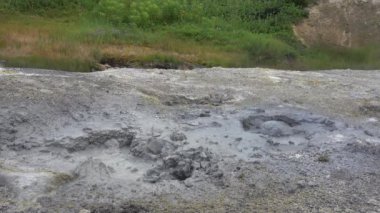 Doğal kaplıcalar. Yerdeki deliklerde gri sıvı kaynıyor. Buhar yükseliyor. Toprakta sülfür ve mineral yatakları var. Yakınlarda yeşil bir çayır var. Çimenler ve kır çiçekleri var. Kamçatka.