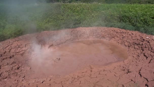 泥の鍋は Geyersの谷 Kamchatkaに沸騰します 水の泡があり 蒸気が飛んでいます 粘土の縁が割れている 周りに緑の植生があります — ストック動画