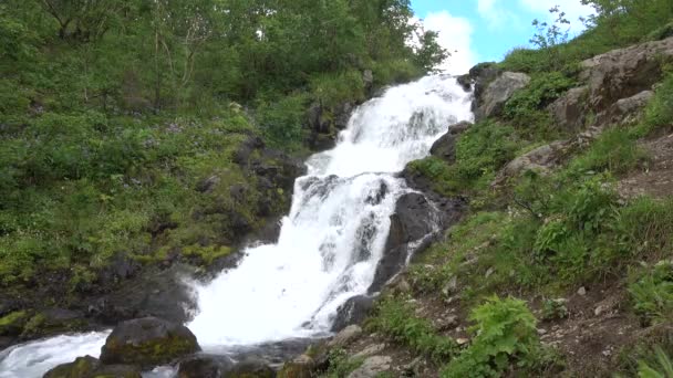 Une Rivière Montagne Descend Pente Eau Mousses Éclaboussures Sur Les — Video