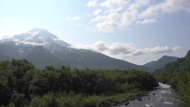 Horská Řeka Vaří Pění Skalách Břehu Zeleného Opadavého Lesa Proti — Stock video