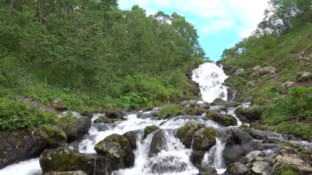 Mountain River Flows Slope Water Foams Splashes Boulders Overgrown Moss — Stock Video