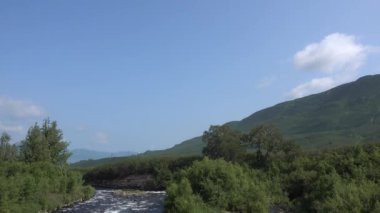 Dağ nehri taşlarda köpürüyor ve köpürüyor. Kıyıda yemyeşil bir bitki örtüsü var. Mavi gökyüzü arka planına karşı bir dağ yamacı. Bir yaz günü. Uzayı kopyala Kamçatka..