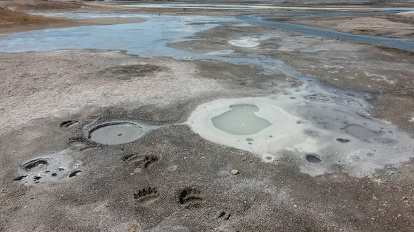 Zijn Beken Plassen Caldera Van Een Uitgestorven Vulkaan Zwavelafzettingen Bodem — Stockfoto