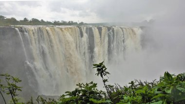 Zambezi Nehri yayladan vadiye güçlü akarsularla akar. Uçurumun üzerinde yoğun sis var. Gökyüzündeki bulutlar. Ön planda yeşil bitki örtüsü var. Victoria Falls. Zimbabwe