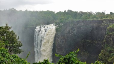 Güçlü bir su akıntısı yaylanın kenarından vadiye doğru akıyor. Uçurumun üstünde sis var. Çevrede yeşil tropik bitki örtüsü var. Victoria Falls. Zimbabwe