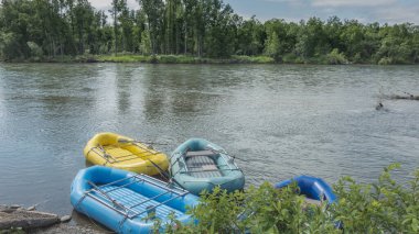 Kıyıya yakın nehirde renkli şişme botlar var. Bankalardaki yemyeşil bitki örtüsü. Kamçatka..