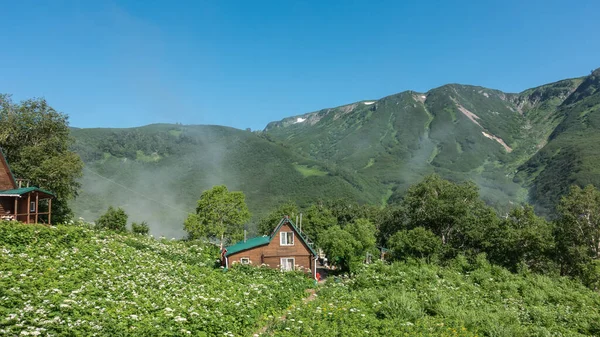 Lush grass and wildflowers grow on the green meadow. A path leads to a wooden house. Mountains against the blue sky. In the distance, you can see steam from hot springs. Valley of geysers. Kamchatka