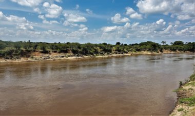 Afrika Mara Nehri sakince akar. Bankalarda yeşil bitki örtüsü var. Mavi gökyüzünde pitoresk kümülüs bulutları var. Yansıma. Kenya. Masai Mara Parkı