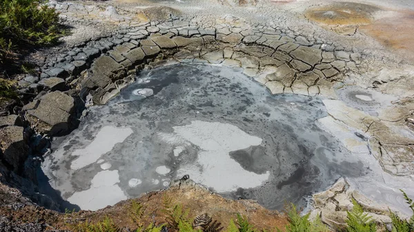 Çamur Kaplıcası Yakın Plan Gri Sıvının Yüzeyinde Çizgiler Noktalar Görülebilir — Stok fotoğraf