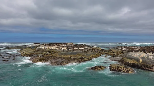 Bir Kürk Fok Kolonisi Atlantik Okyanusu Ndaki Kayalık Bir Adada — Stok fotoğraf