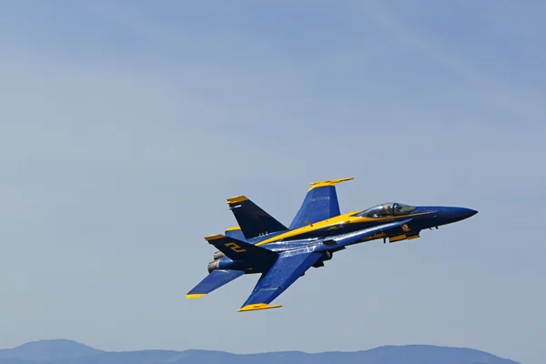Airplane Blue Angels F-18 Hornet jet fighter — Stock Photo, Image