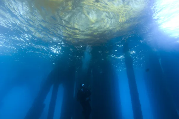 Buceo Submarino California Océano Pacífico — Foto de Stock