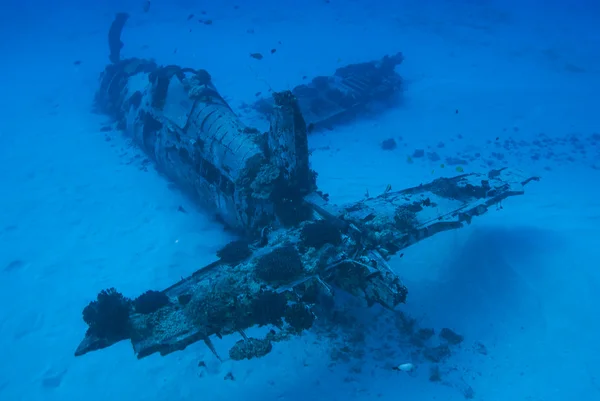 Corsair İkinci Dünya Savaşı uçak enkazının Hawaii sualtı mercan