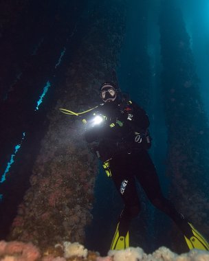 Underwater Scuba diving at California dive sites clipart
