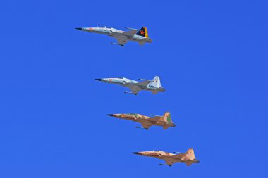 F-5 Tiger II bize askeri 2015 Yuma Air Show'da oluşumunda uçan uçak