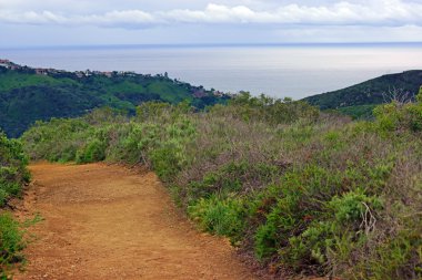 Laguna Beach yürüyüş parkurları