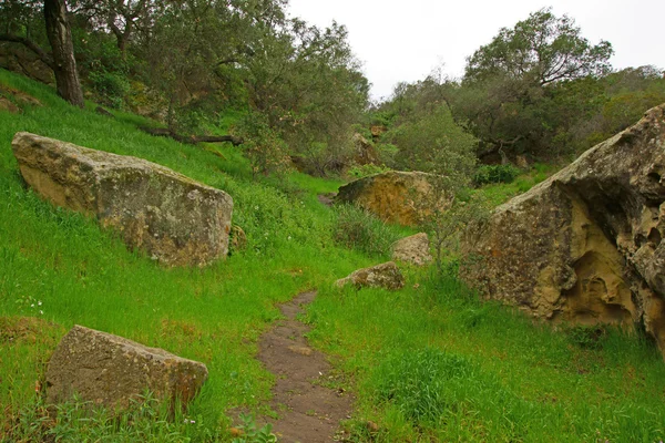 Laguna Beach yürüyüş parkurları — Stok fotoğraf