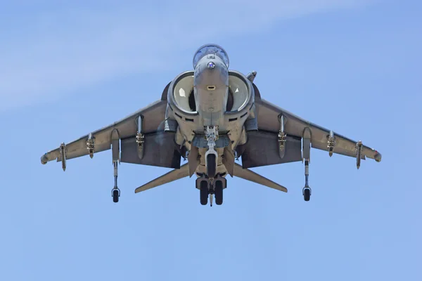 Hava gösteri performansları ve gündoğumu 2015 Los Angeles Air Show'da İkinci Dünya Savaşı uçakları ve askeri Jet uçak ile birlikte Budweiser Clydesdale atlar ve Dalmaçya maskot gibi